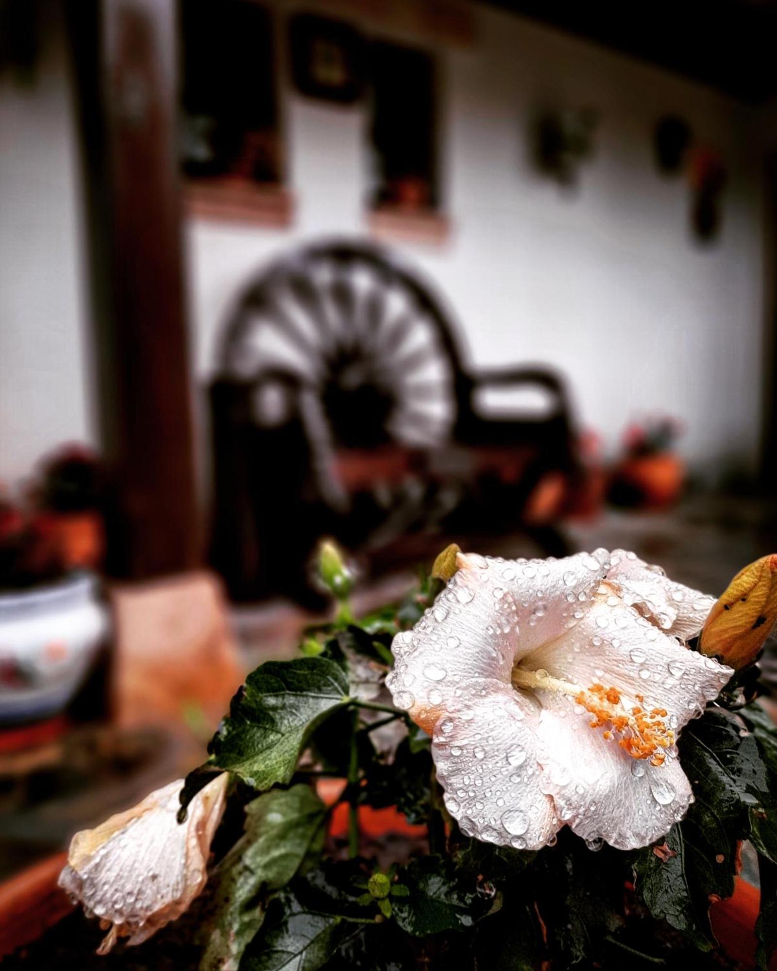 Posada Marina 수안세스 외부 사진